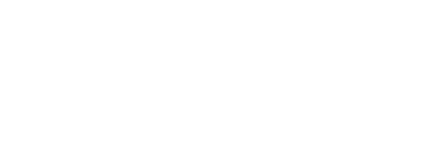 Van Run IT